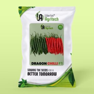 Chilli