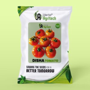 Tomato