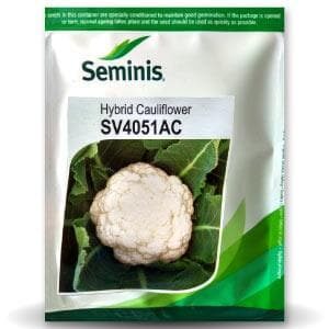SV4051AC CAULIFLOWER SEEDS